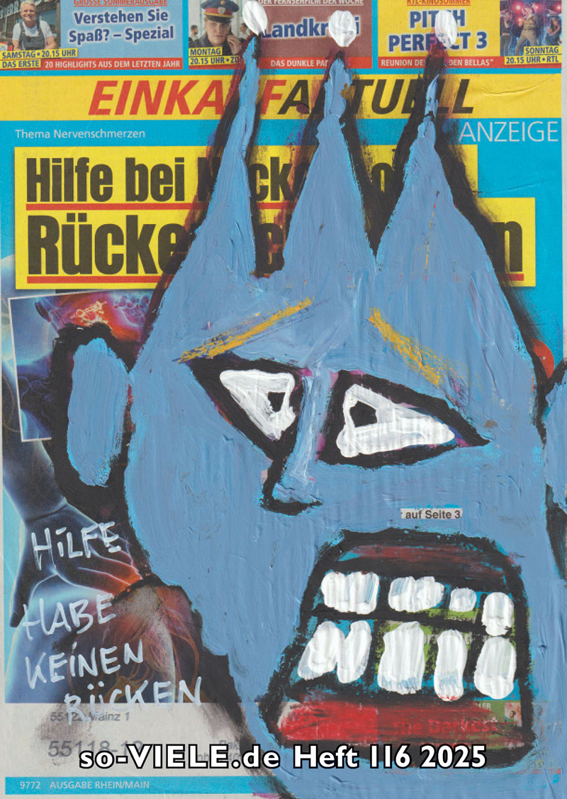 36222-so-viele-heft-116-brandstifter-schneider-fliegen-cover