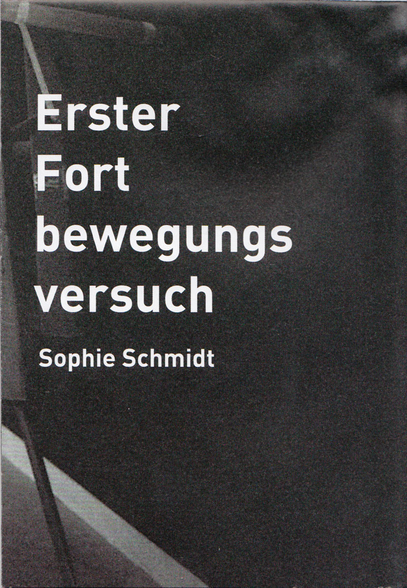 schmidt-erster-2013